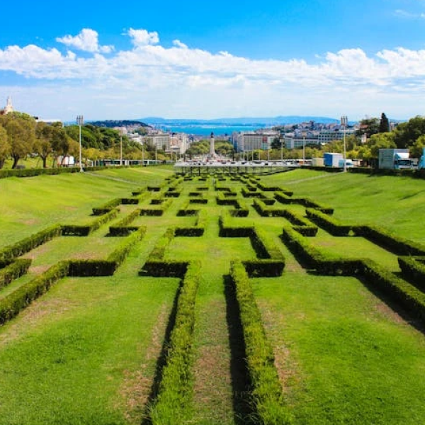 a herd of sheep walking across a lush green field