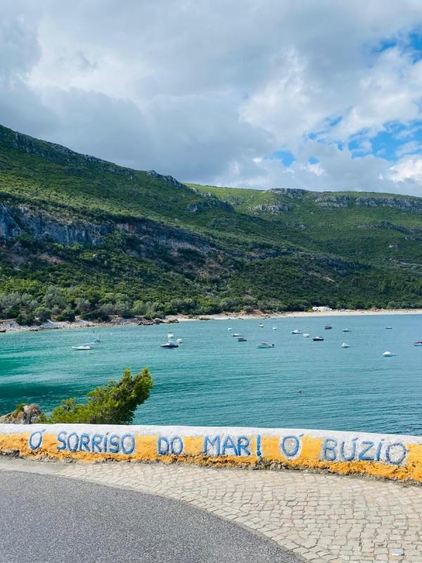 a body of water with a mountain in the background